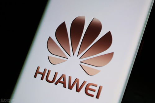 跨境電商快訊 數(shù)字文化創(chuàng)意內(nèi)容驅(qū)動內(nèi)容應(yīng)用服務(wù)升級